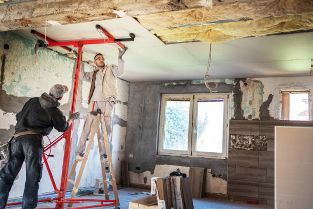 Best Residential Insulation Services  in Northampton, MA